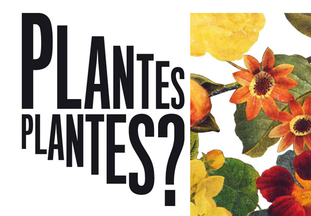 Plantes