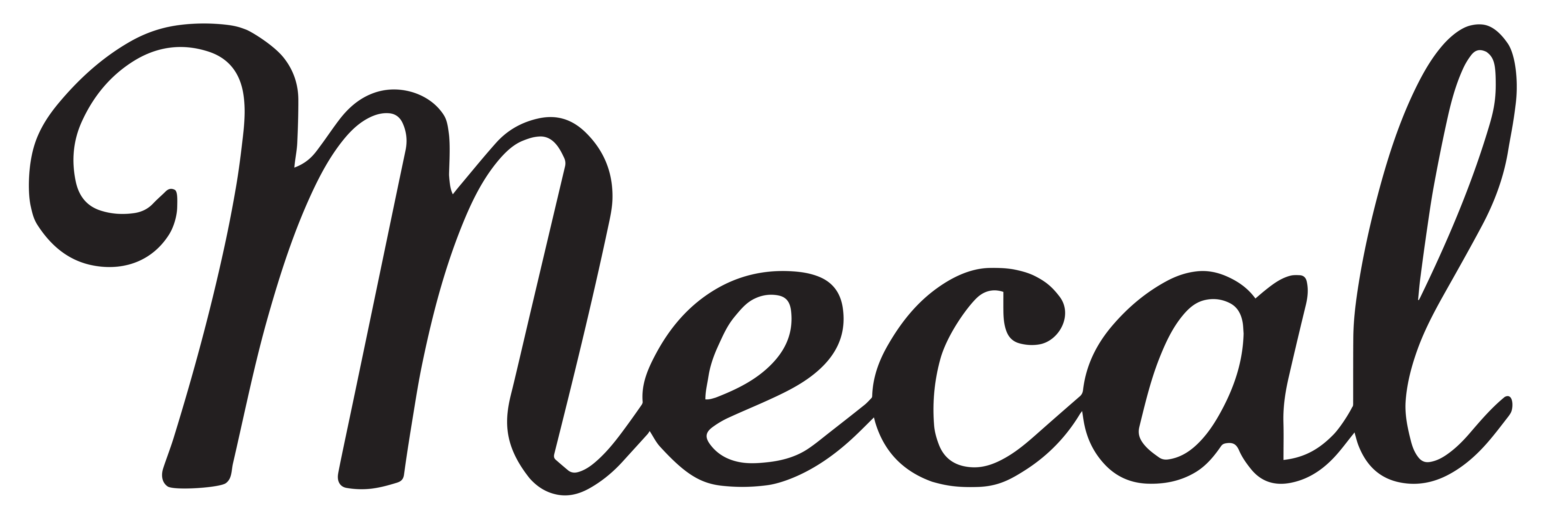logo mecal