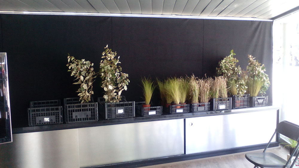 webIMG_20170412_131054