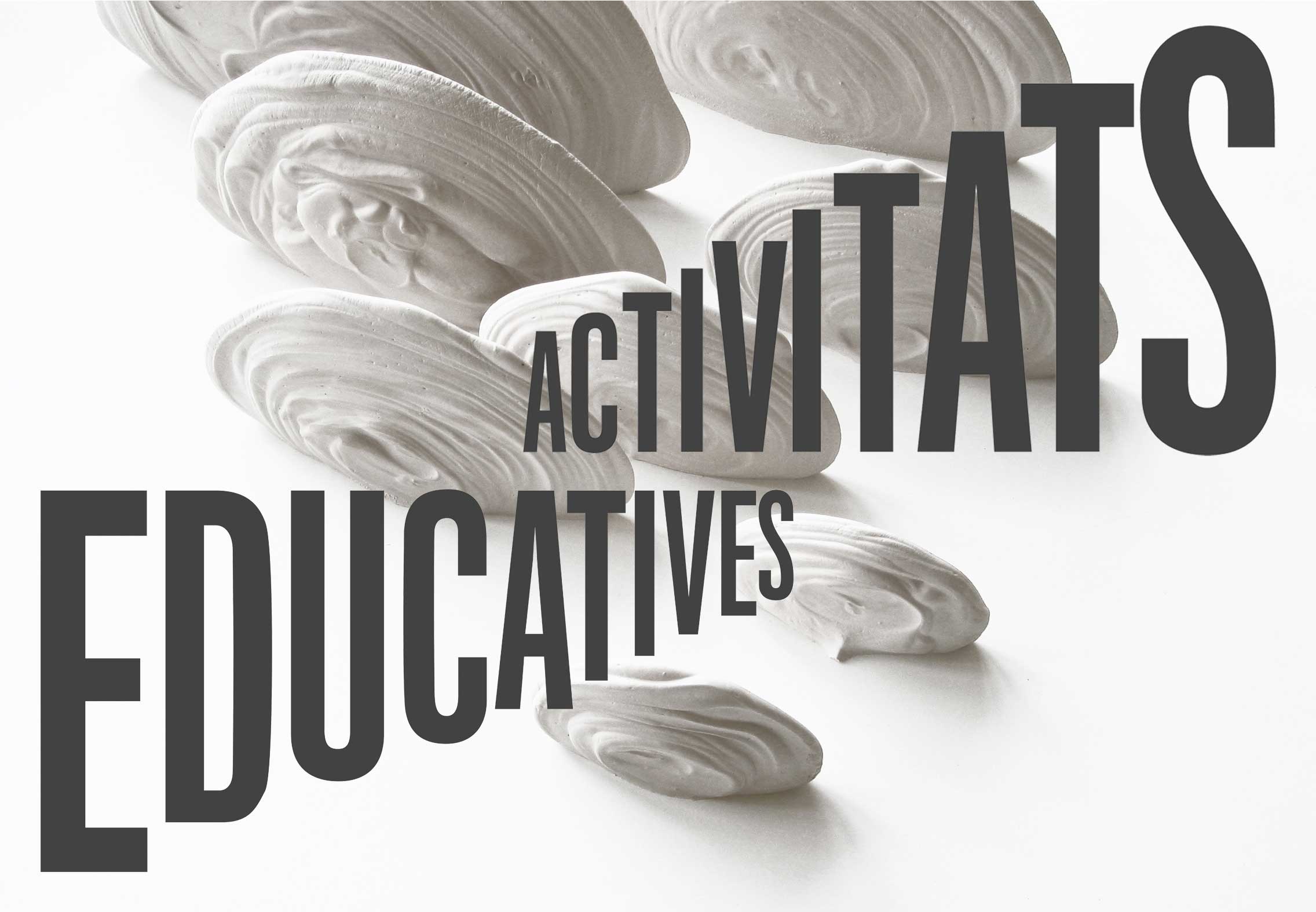 Activitats-educatives