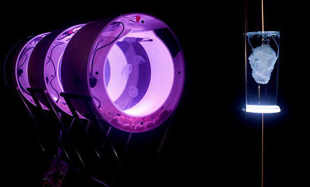 (Al)most alive, after all