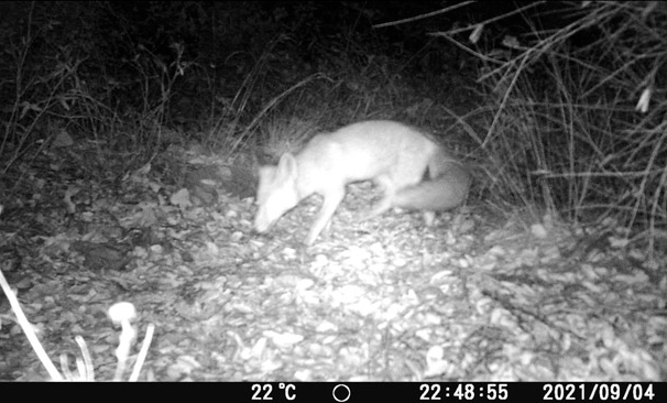 silenci_mons03-606x366