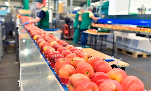 Menú del dia: respostes locals al menjar globalitzat