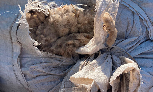 Tools for a warming planet