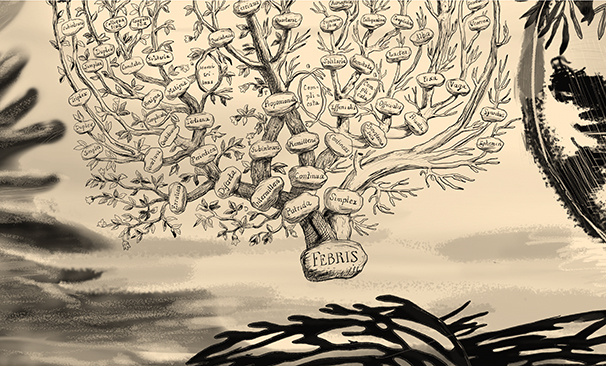 La tradició que ens travessa