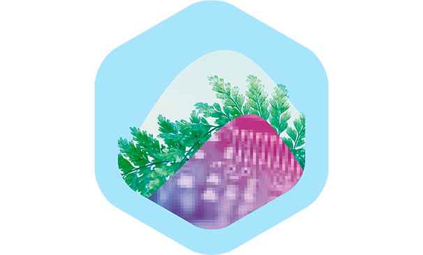 La tradició que ens travessa