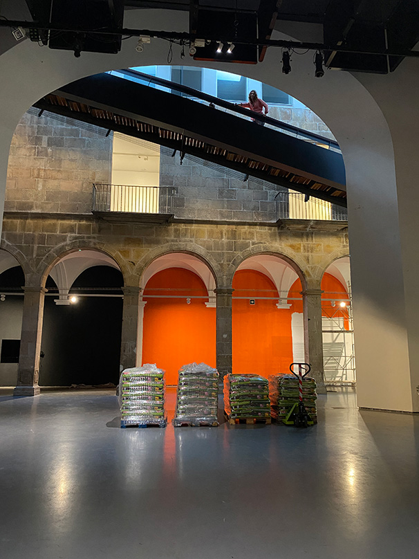 IMG_8943-reduit IMG_8943-reduit