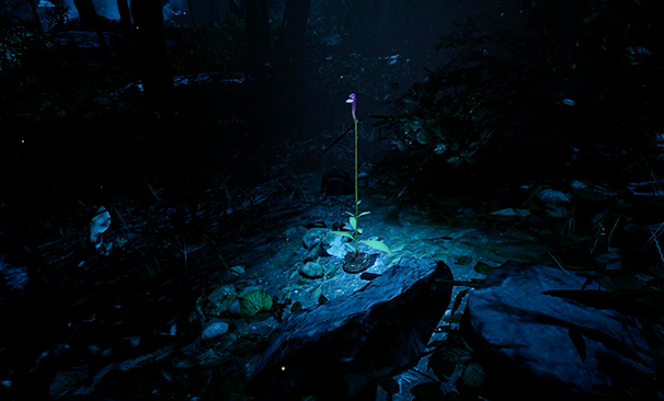 Reorganitzar la cinefília